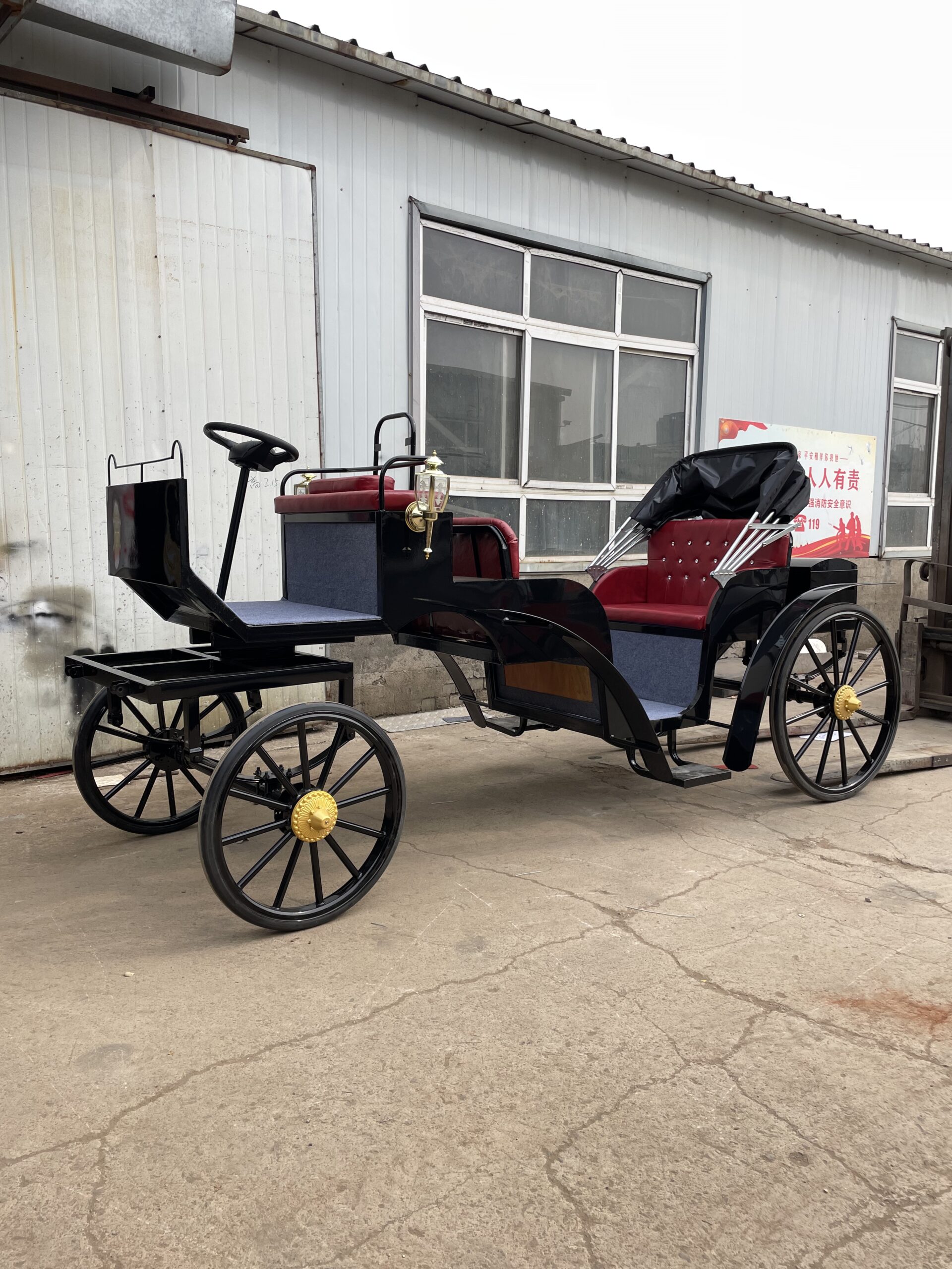 Luxury Vintage Black Sightseeing Carriage - 图片 2