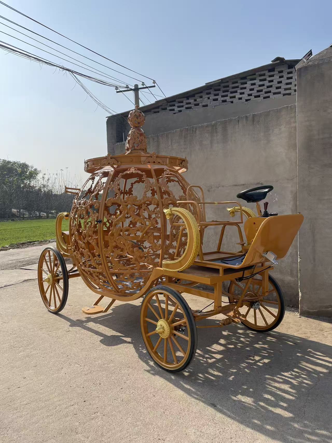 Golden Hollow Pumpkin Carriage - 图片 3