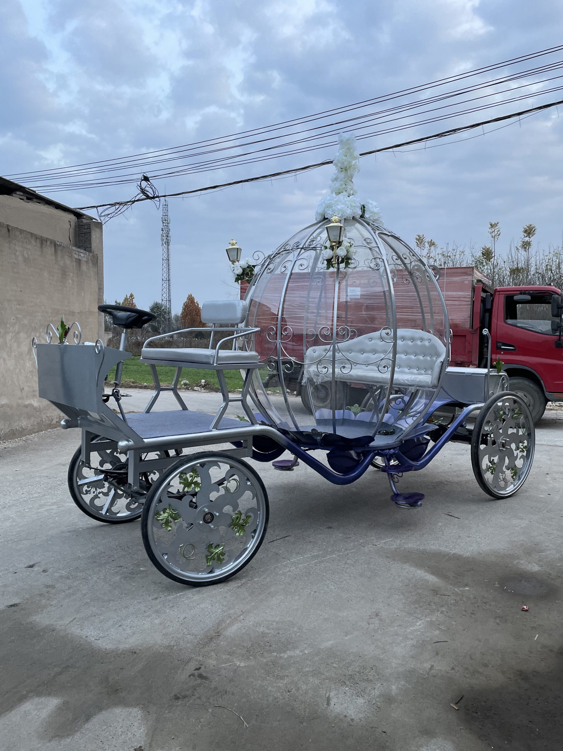 Dreamy Silver Carriage - 图片 2