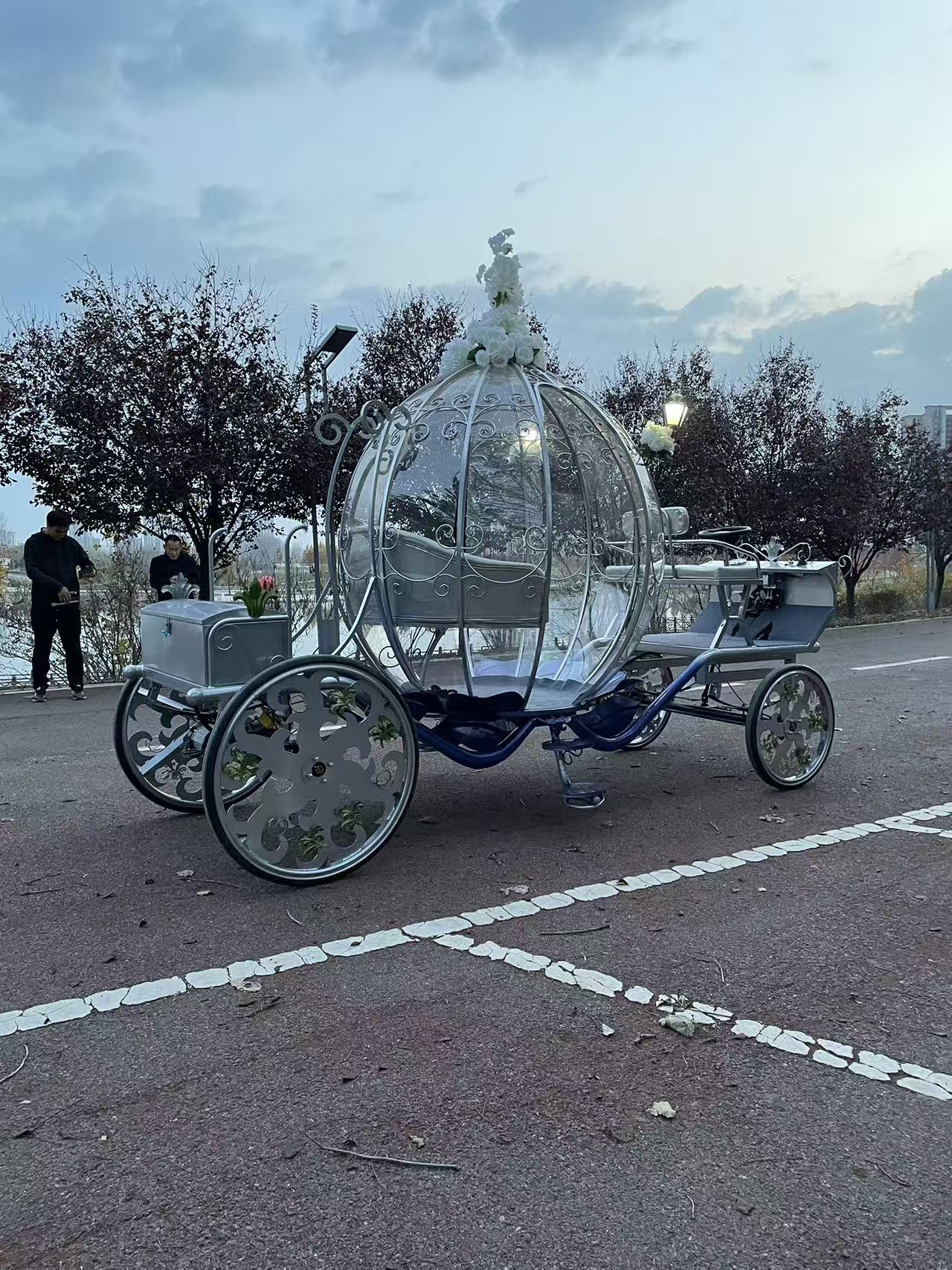 Dreamy Silver Carriage - 图片 3