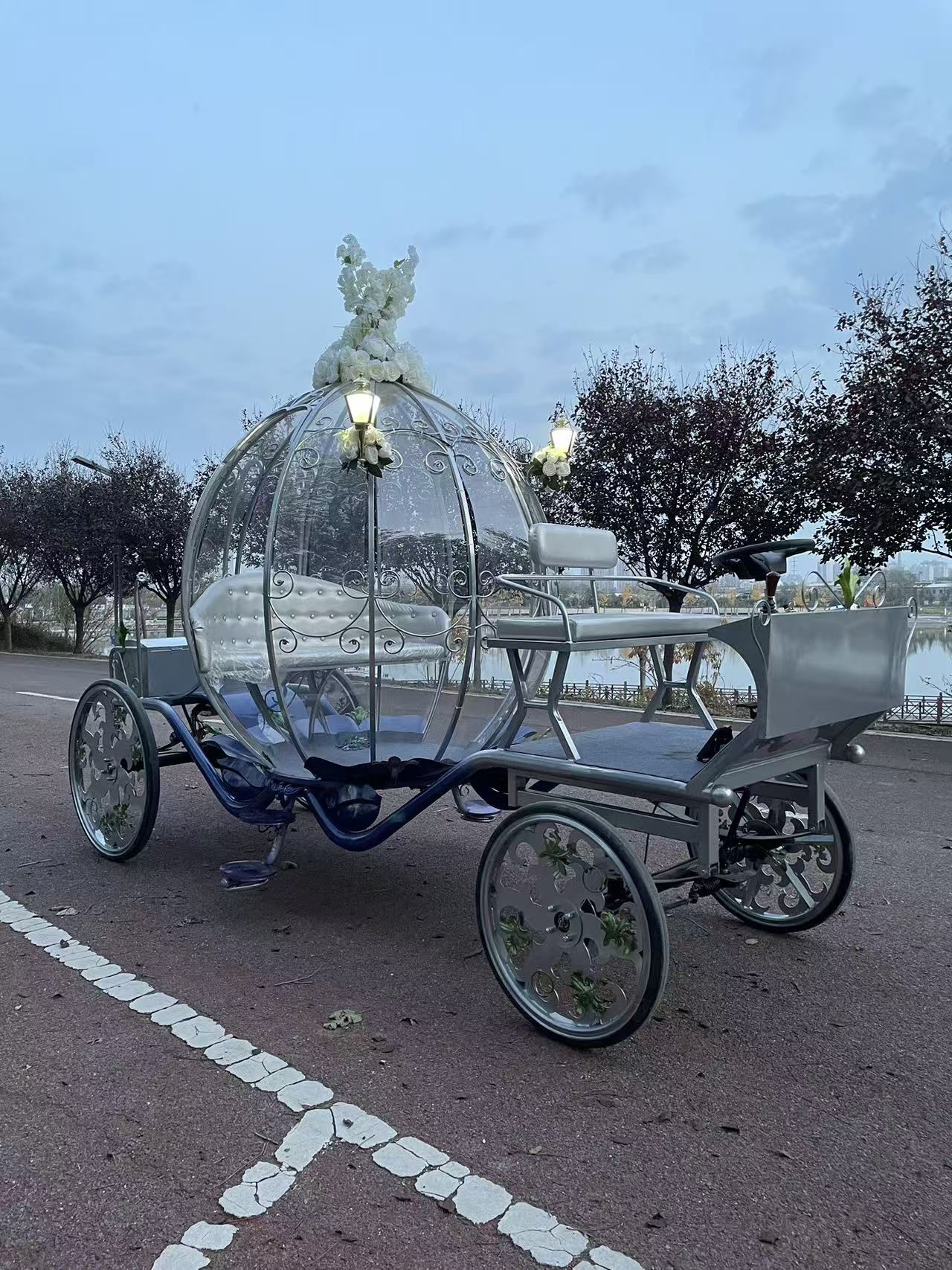Dreamy Silver Carriage - 图片 4