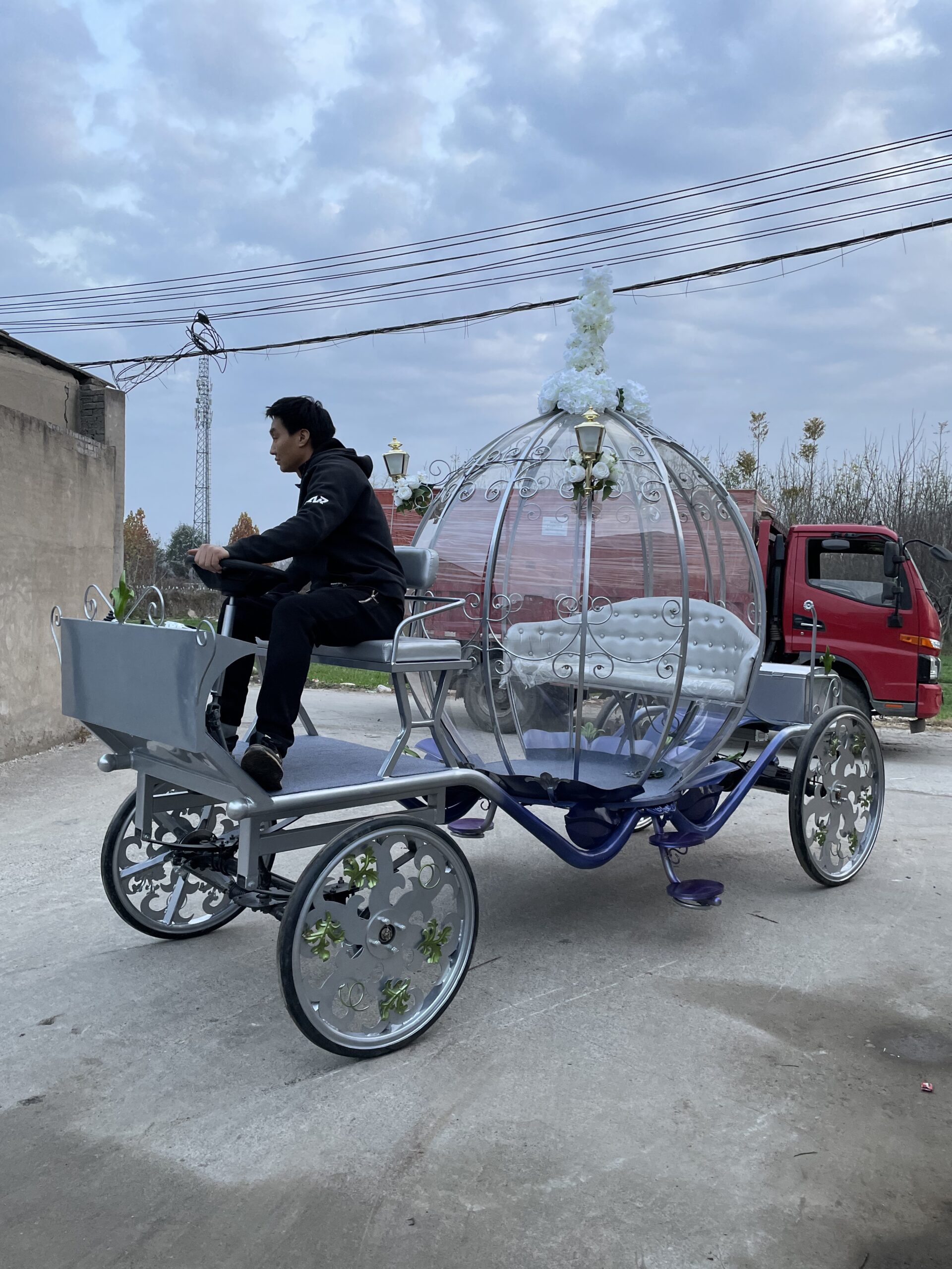 Dreamy Silver Carriage - 图片 5