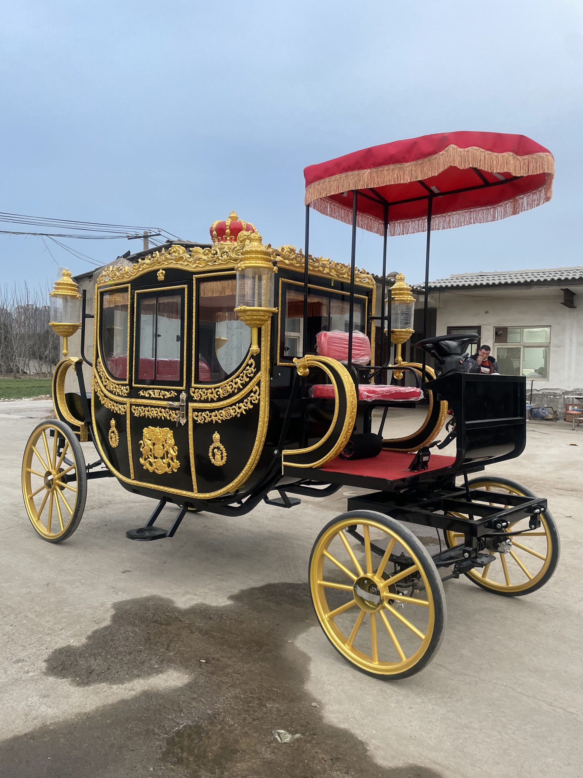 Black European-style Horse Carriage - 图片 2