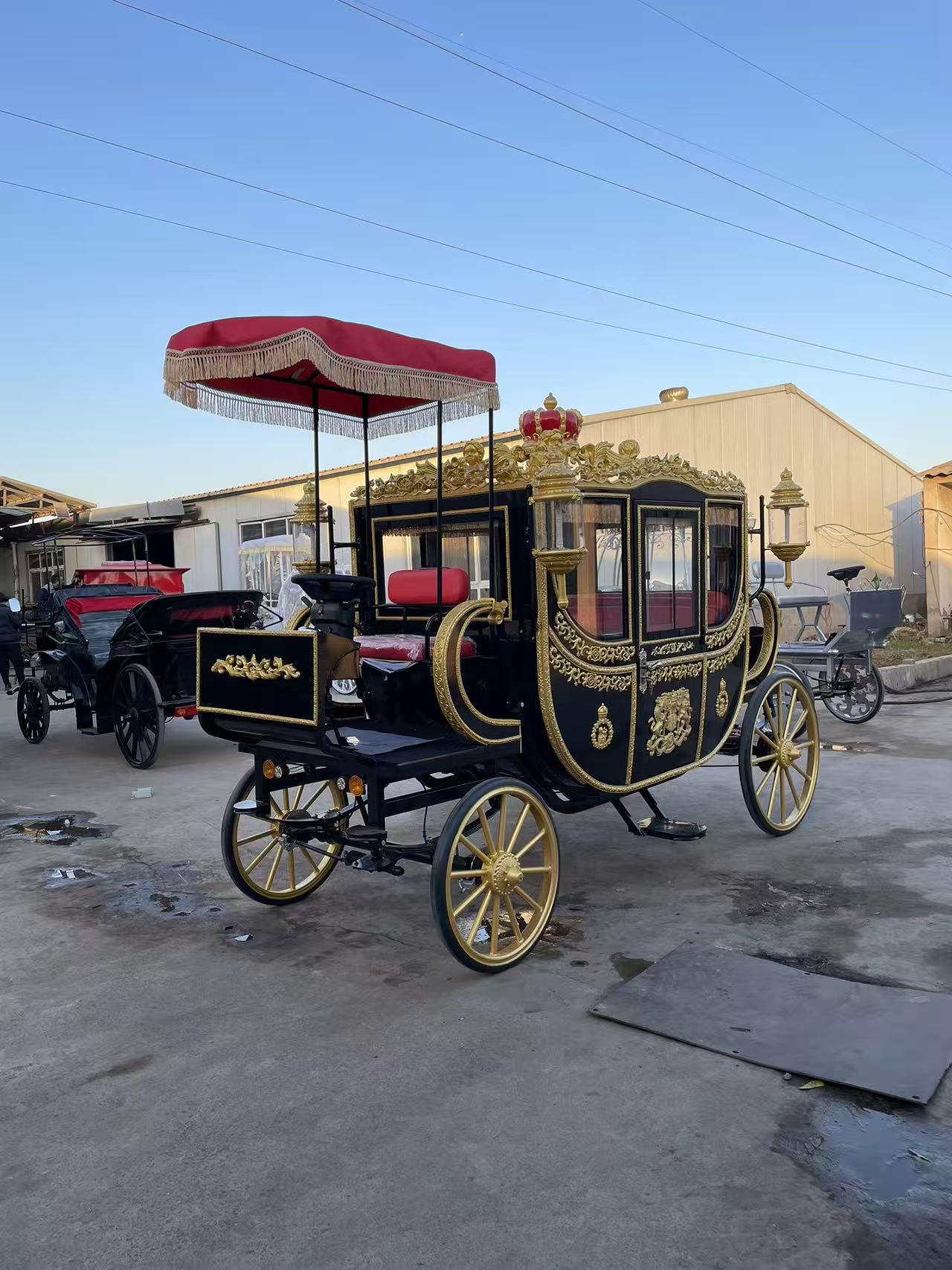 Black European-style Horse Carriage - 图片 3