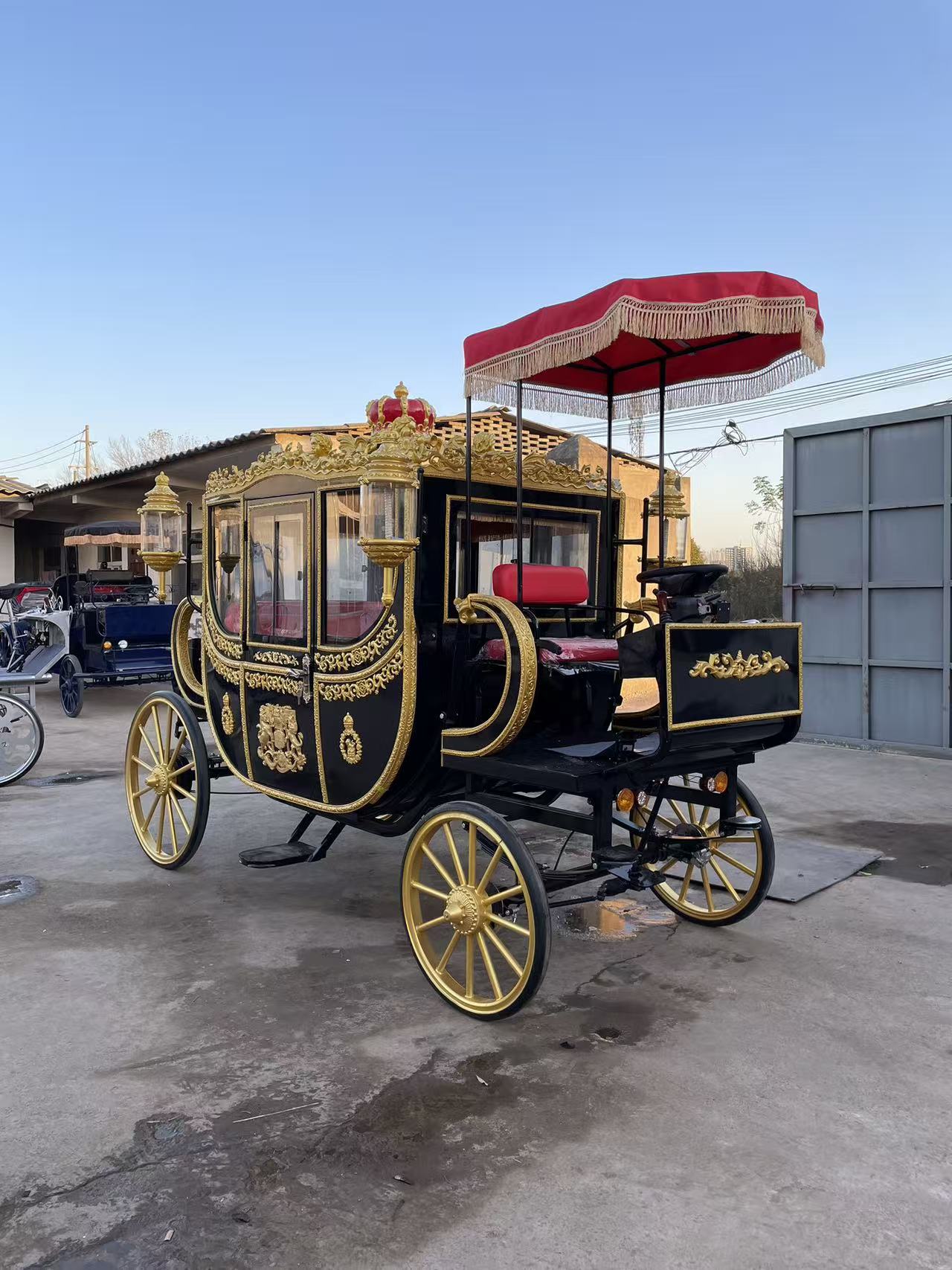 Black European-style Horse Carriage - 图片 5